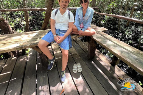 Zanzibar: Jozani Forest & Salaam Cave Sea Turtles Swim Tour Option Without Hotel Transfers