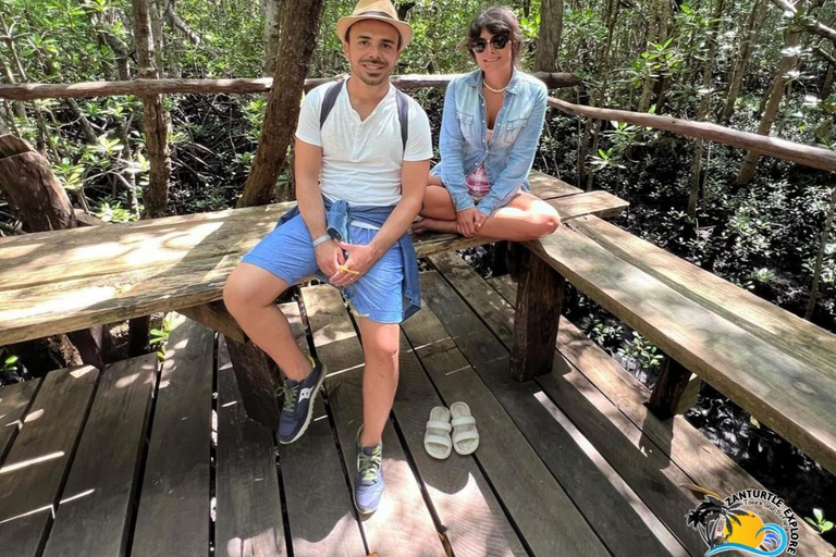 Zanzibar: Jozani Forest & Salaam Cave Sea Turtles Swim Tour Option Without Hotel Transfers