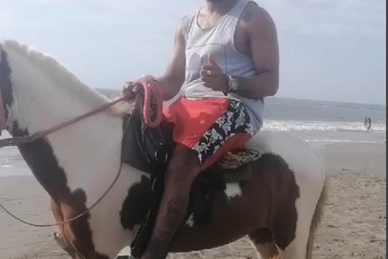 Cartagena, Colombia: Horseback Riding on the Beach + LunchCartagena: Horseback Riding on the Beach + Lunch