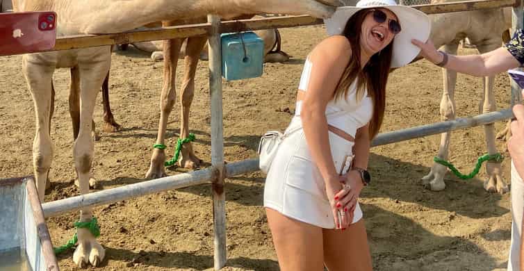 Bahrain Top Sights – MSC Euribia Cruise Tour -On-Time Return photo 9