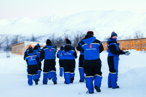 From Tromsø: Dog Sledding Experience with Transfer