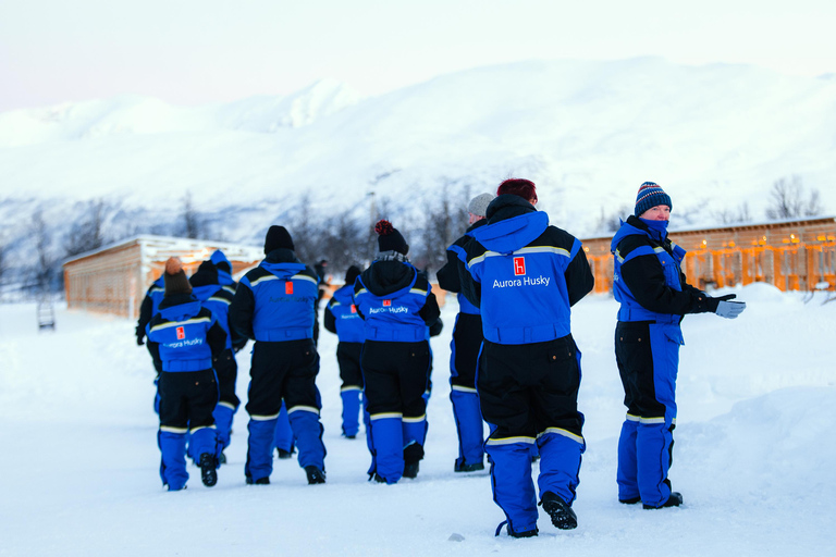 From Tromsø: Dog Sledding Experience with Transfer