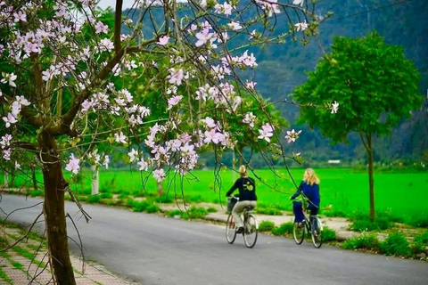 From Hanoi: Ninh Binh- Hoa Lu-Tam Coc- Mua Cave- Highlight