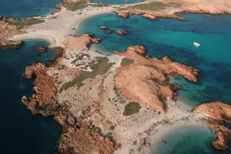 Muscat: avventura di snorkeling sull&#039;isola di Daymaniyat