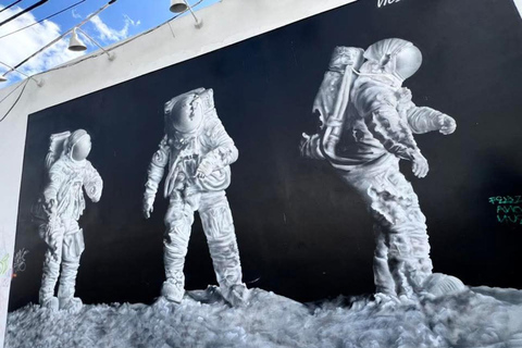 Miami: Street Art Immersion in Wynwood in French (10 people max)