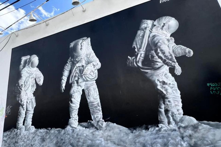 Miami: Street Art Immersion in Wynwood in French (10 people max)
