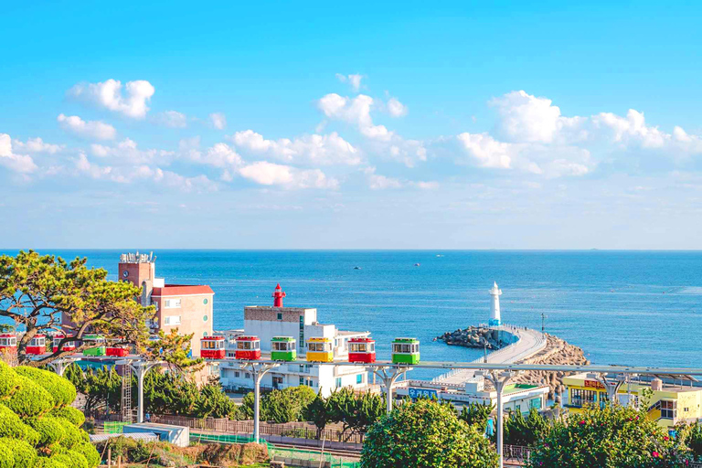Busan Day Tour from Daegu:6 Highlights with Gamcheon Village Daegu ➔ Daegu Drop-off