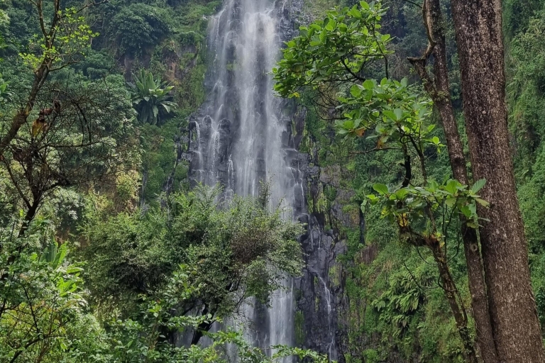 Materuni waterfall, the tallest fall in northern Tanzania