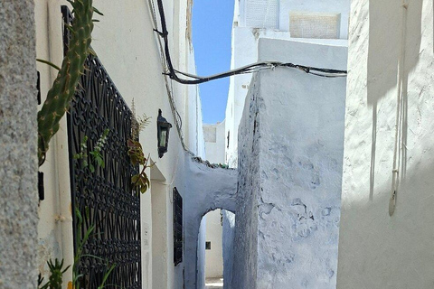 From Hammamet: Hammamet Medina & Nabeul Souk Half-Day Tour