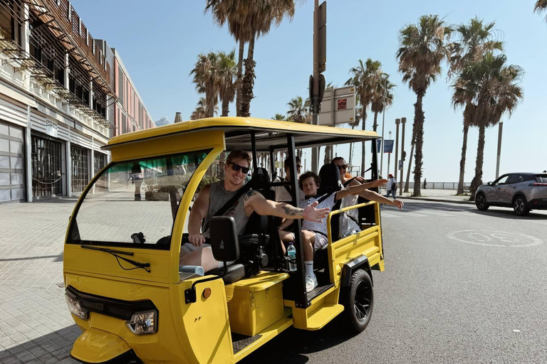 Barcelona: Electric Tuk-Tuk Tour with Local Guide
