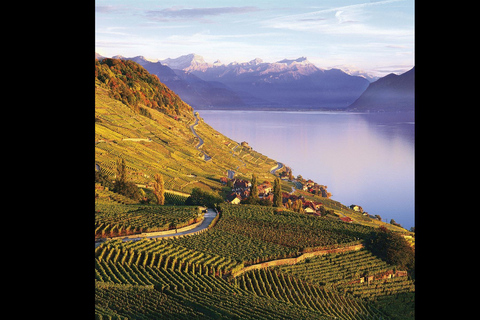 3 Privately Guided Swiss Travel Pass Train Tours from Zurich Group of 8 Excluding Train Tickets