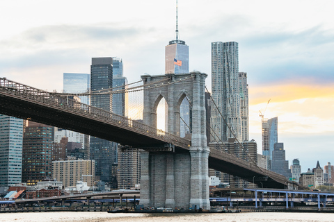 New York: crociera prioritaria tra le luci del porto