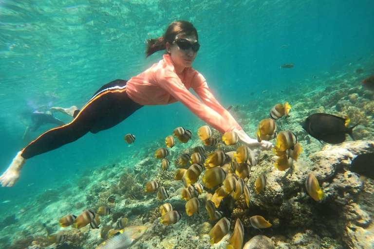 Visite de l'île de Gili : Gili Trawangan, Meno & Air