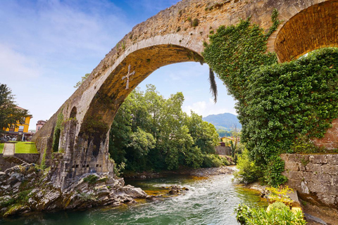 Tour di un giorno intero nella natura: Parco Nazionale dei Picos de Europa