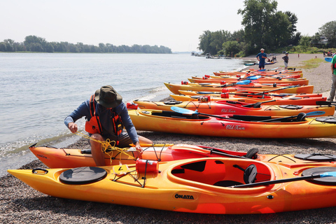 Montreal: Kayak Excursion in the Hochelaga Archipelago Montreal: Kayak Day Trip in the Hochelaga Archipelago