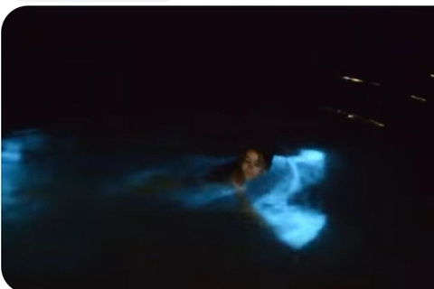 Luminous lagoon : Night Tour from Ocho Rios and Runaway Bay