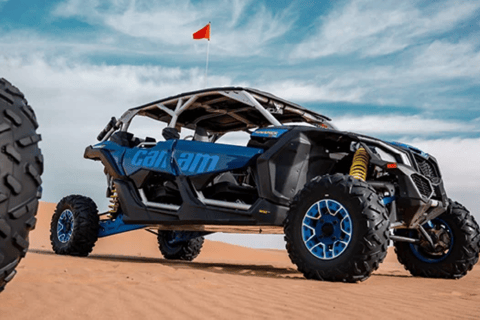 Into the Wild: un&#039;emozionante corsa in buggy attraverso le dune