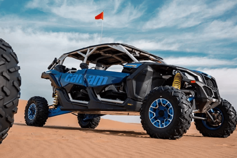 Into the Wild : une passionnante promenade en buggy à travers les dunes