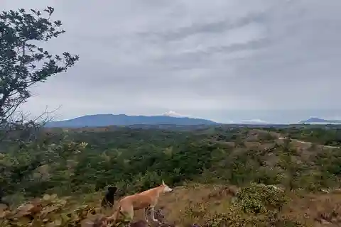 Rincon de la Vieja Volcano: Hike+Waterfall and Hot Springs