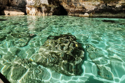 MALTA Comino BlueLagoon 3 godziny prywatne wycieczki łodzią