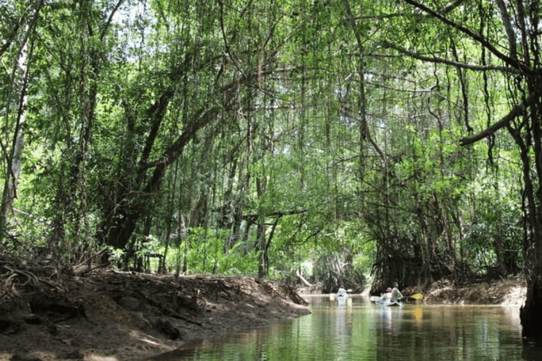 Khao Lak: Sri Phang Nga National Park und Takuapa Tour