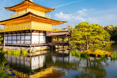 Desde Tokio: Visita de un día a Kioto en tren bala con guía