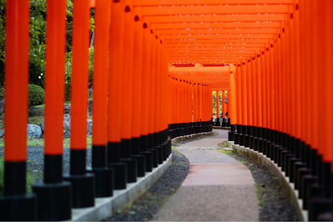 A Thousand Years in One Day: Kyoto & Nara Panoramic Tour Depart from Kyoto