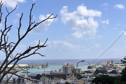 Mauritius: North Highlights Tour with Guide & Transfers