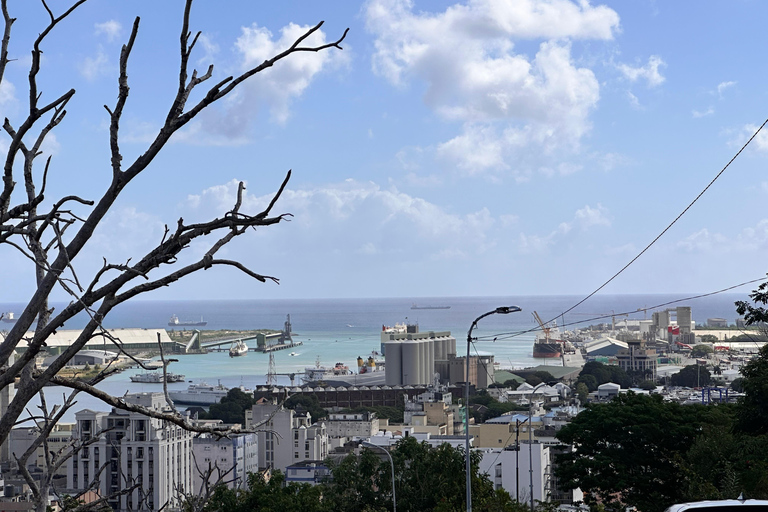 Mauritius: North Highlights Tour with Guide & Transfers