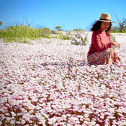 Kalbarri Wildflower Tour with Local Guide