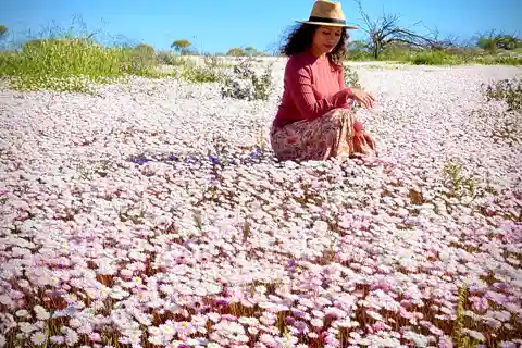Excursión a las Flores Silvestres de Kalbarri con guía local