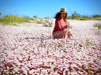 Kalbarri Wildflower Tour with Local Guide