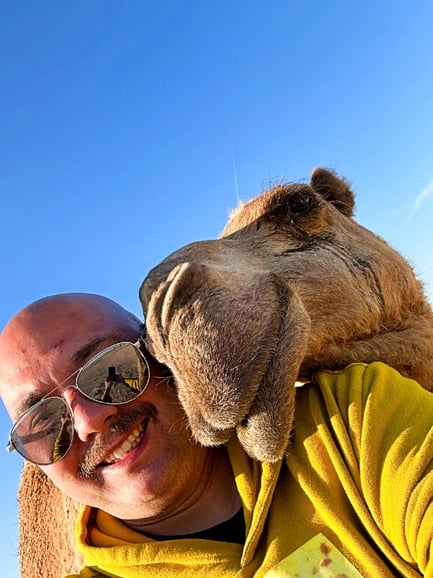 Tours de medio día por la ciudad de Kuwait y el desierto con recogida y traslado