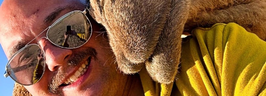 Visites guidées d'une journée dans la ville de Koweït et le désert, avec prise en charge et retour