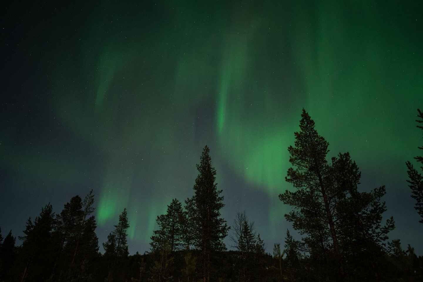 Wilderness Adventure by Snowmobile Sleigh