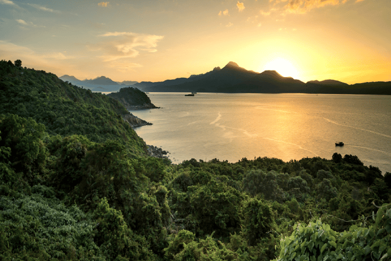 Son Tra Trekking Tour: Spot Wildlife, Nature and Landscapes Halfday Sunrise Trekking Tour to Ban Co Peak by Conquer