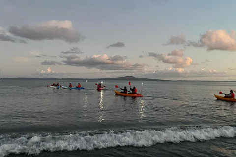 Auckland: Bioluminescence Kayak Tour with Guide