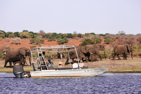 Chobe River Private 3 Hour Boat Safari