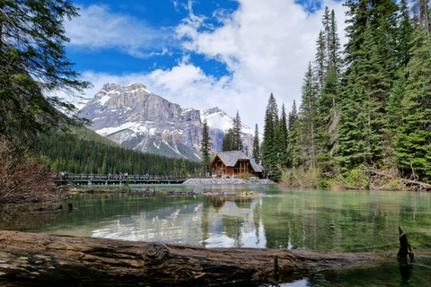 Banff & Yoho: Moraine, Louise, Emerald Lake, Canyon & Falls