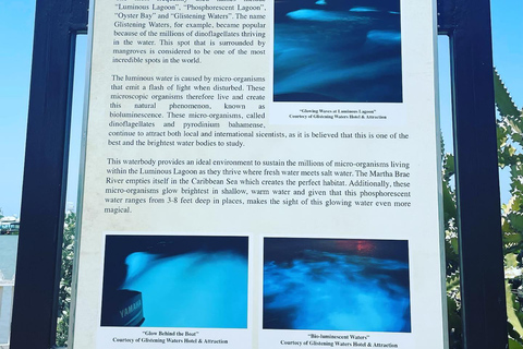 Bob Marley, Blue Hole, Secret Falls and Luminous Lagoon Tour From Montego Bay/ Falmouth/ Trelawny