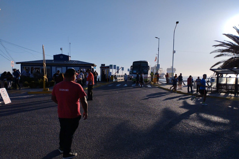 Cruise Passengers: Peninsula Valdés With Ticket Included Cruise Passengers: Shared Peninsula Valdés Tour