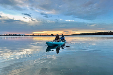 Cocoa Beach/Merritt Island:Bioluminescent kayak tour Single Kayak