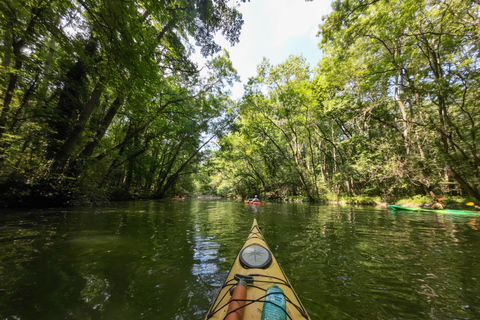 Varna: Kamchia River Kayaking Day Tour