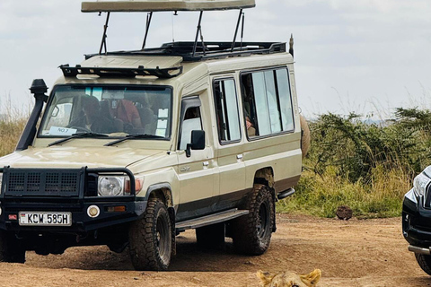 Nairobi National Park Half-Day Guided Safari (4–5 Hours) Nairobi National Park Half-Day Shared Guided Safari