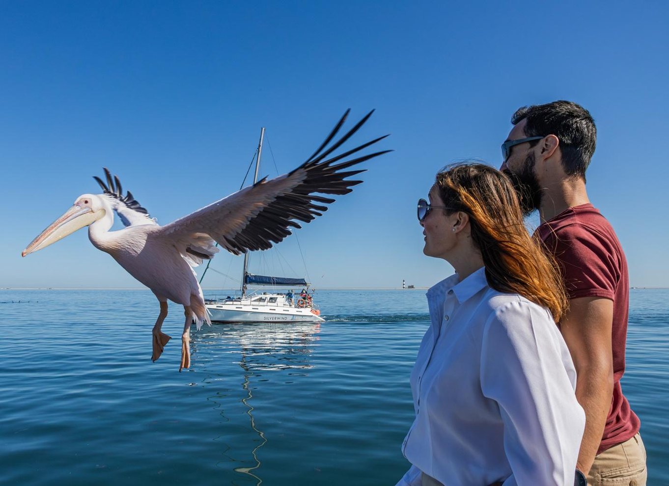 Walvis Bay: Marine Big 5 luksus katamaran tur