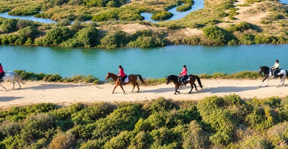 Chiclana de la Frontera: Horse riding through the marshes of Chiclana