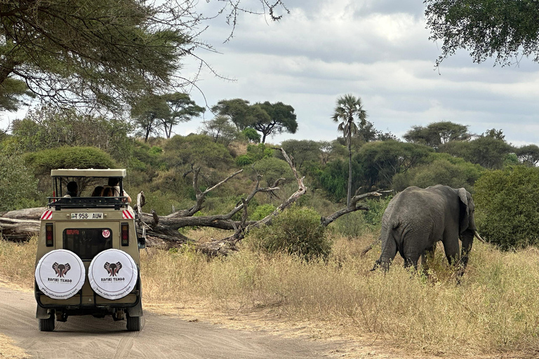 Arusha: safari al Parco nazionale del lago Manyara con pranzoTour privato in Tanzania