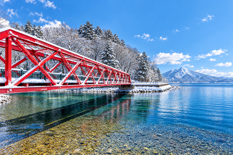 Sapporo: Snowmobile, Lake Toya, Shikotsu & Mt. Moiwa Tour