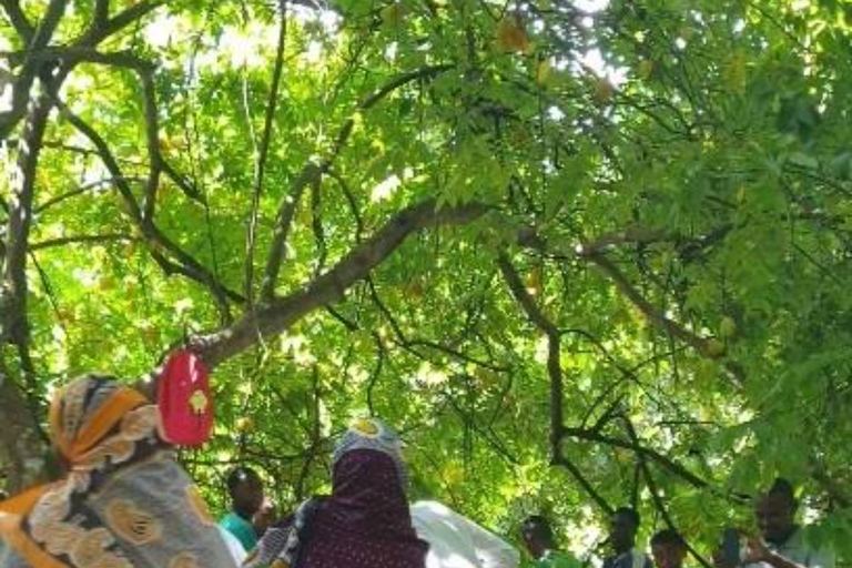 ZANZIBAR: matlagningskurs och bytur