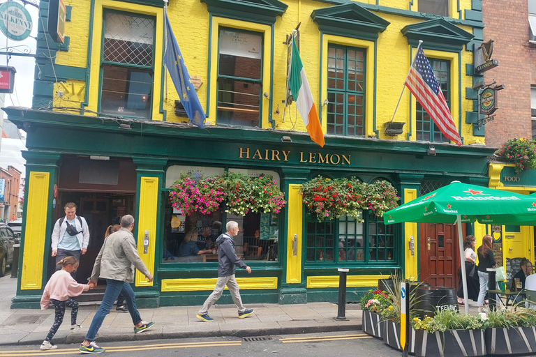 Dublin Landmarks Walking Tour Private Group Tour